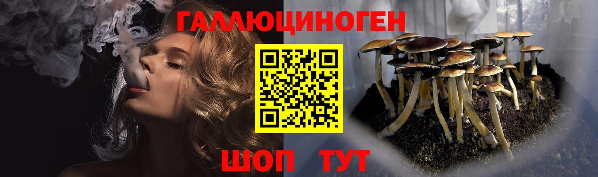 Галлюциногенные грибы мицелий Орск